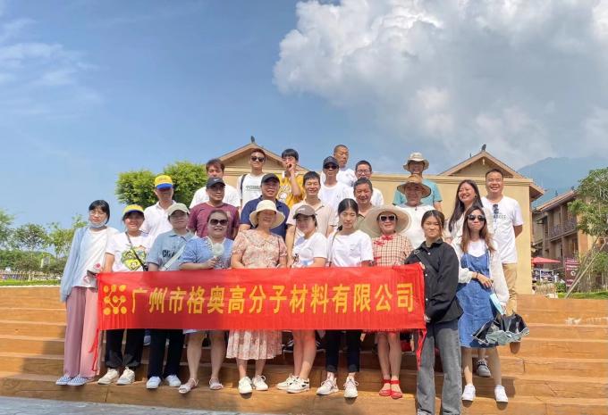 Alışveriş Alanı PSAF Ücretsiz Su Dayanıklı Kumaş Deri Mobilya Koruyucu Mobilya Bakımı Su Dayanıklı Sprey 21